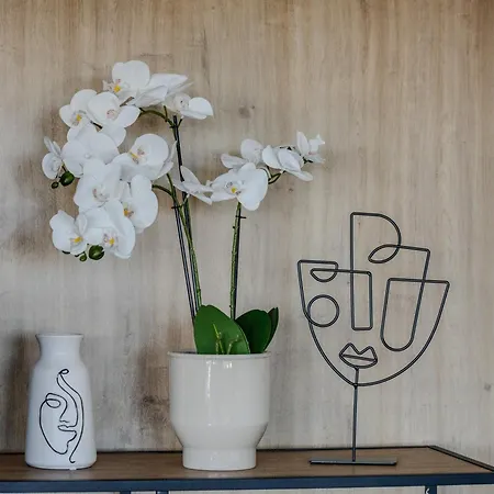 Mobile Sun Paradise *